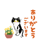 大きな文字で猫のシンプル日常（個別スタンプ：15）