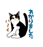 大きな文字で猫のシンプル日常（個別スタンプ：19）