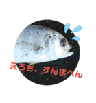 生き物写真で一言（個別スタンプ：5）