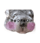 まろ眉まぁちゃんの句読点にどうぞスタンプ（個別スタンプ：8）