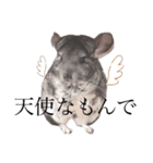 まろ眉まぁちゃんの句読点にどうぞスタンプ（個別スタンプ：15）