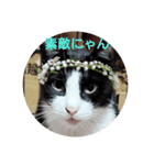 良かったらどうぞにゃん（個別スタンプ：7）