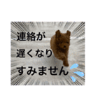 nico(^^)（個別スタンプ：34）