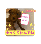 nico(^^)（個別スタンプ：39）