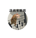 塩バター（個別スタンプ：3）