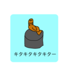 グワーって言うトド4（個別スタンプ：5）