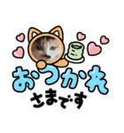 ねこちぐらスタンプ（個別スタンプ：2）