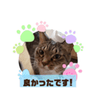 ねこちぐらスタンプ（個別スタンプ：9）