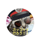 愛されニャンっ子です（個別スタンプ：7）