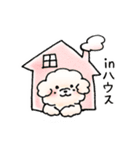 【手描き】マルプーのハルくん1（個別スタンプ：13）