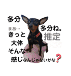 名犬サクちゃん6（個別スタンプ：32）