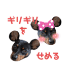 名犬サクちゃん6（個別スタンプ：33）