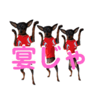 名犬サクちゃん6（個別スタンプ：36）