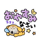 柴犬 雷くん（個別スタンプ：8）