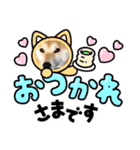 柴犬 雷くん（個別スタンプ：9）
