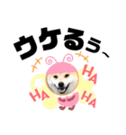 柴犬 雷くん（個別スタンプ：32）