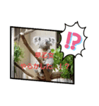 早乙女ナロウすたんぷ（個別スタンプ：2）