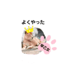 早乙女ナロウすたんぷ（個別スタンプ：4）