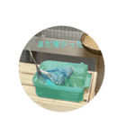インコ「ルル」（個別スタンプ：2）