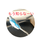 インコ「ルル」（個別スタンプ：14）