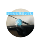 インコ「ルル」（個別スタンプ：16）