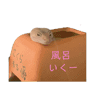 ヒョウモントカゲモドキのさくらもち（個別スタンプ：7）