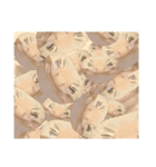 ヒョウモントカゲモドキのさくらもち（個別スタンプ：24）