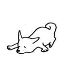 ワンタマル！（個別スタンプ：4）