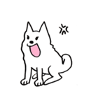 ワンタマル！（個別スタンプ：12）