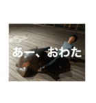 知らない人にも送ってみよう（個別スタンプ：8）