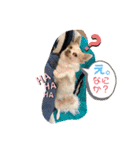 love my dogs♡choco chip ralph（個別スタンプ：14）