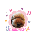 love my dogs♡choco chip ralph（個別スタンプ：15）