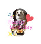 love my dogs♡choco chip ralph（個別スタンプ：16）