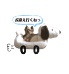 松永ひめちゃんのスタンプ2（個別スタンプ：1）