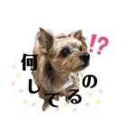 松永ひめちゃんのスタンプ2（個別スタンプ：3）