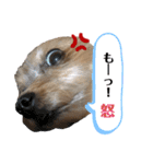松永ひめちゃんのスタンプ2（個別スタンプ：4）