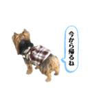 松永ひめちゃんのスタンプ2（個別スタンプ：11）