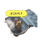 松永ひめちゃんのスタンプ2（個別スタンプ：14）