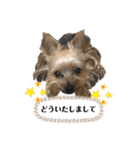 松永ひめちゃんのスタンプ2（個別スタンプ：21）