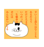 もちねこミケ太郎（個別スタンプ：5）