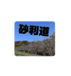 自転車スタンプ！（個別スタンプ：4）
