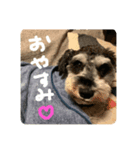 わがやのRunさん（個別スタンプ：3）