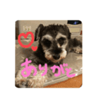 わがやのRunさん（個別スタンプ：7）