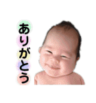 テオぽんのスタンプ（個別スタンプ：19）