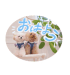 アネミルのスタンプだよん（個別スタンプ：5）