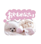 アネミルのスタンプだよん（個別スタンプ：6）