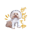 アネミルのスタンプだよん（個別スタンプ：7）