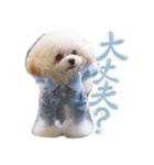 アネミルのスタンプだよん（個別スタンプ：8）