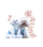 アネミルのスタンプだよん（個別スタンプ：9）