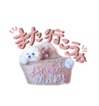 アネミルのスタンプだよん（個別スタンプ：10）